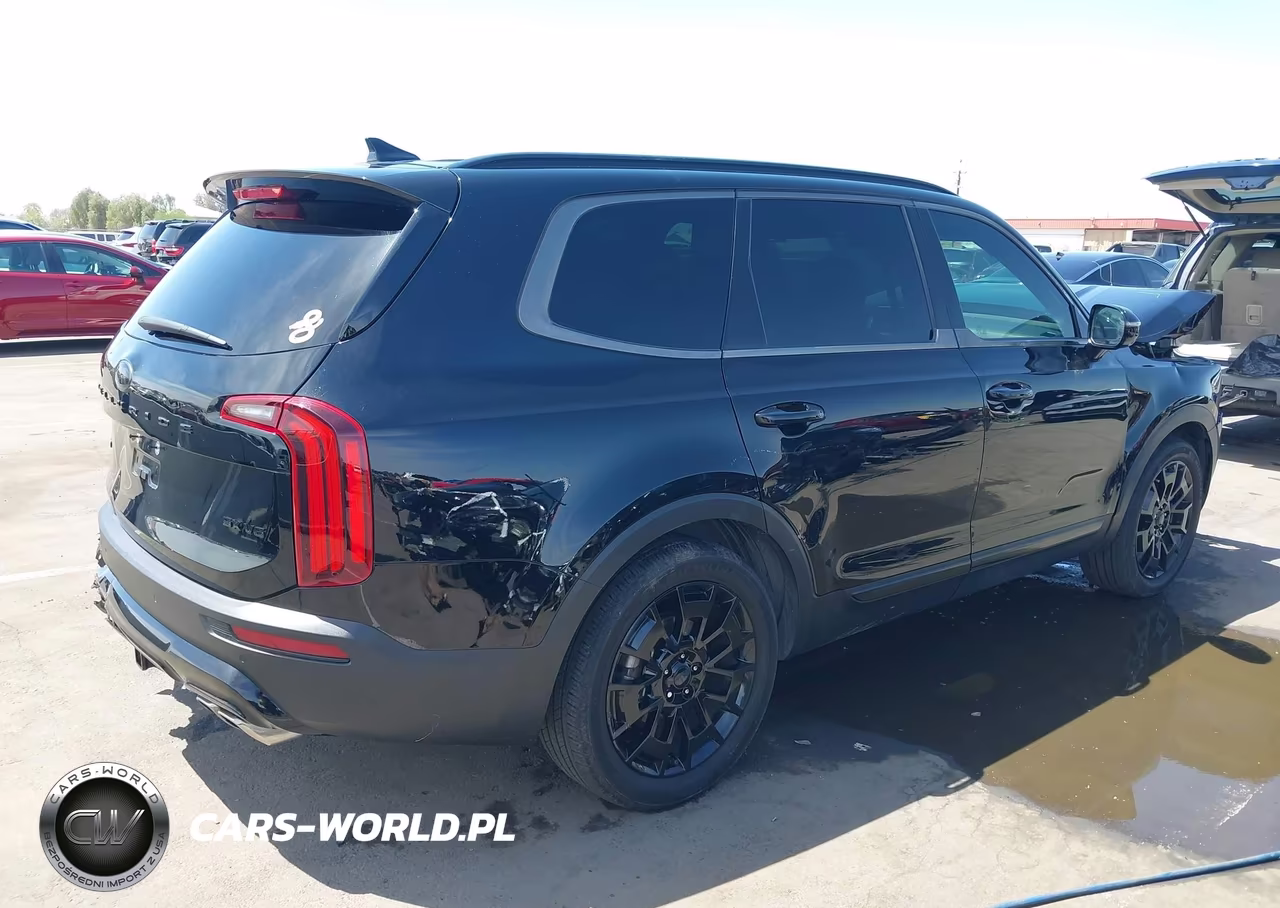 2021 Kia Telluride Sx VIN:5XYP5DHC2MG096669 - 4