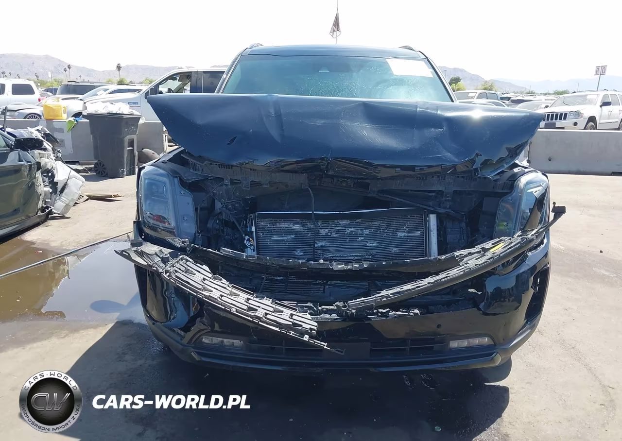 2021 Kia Telluride Sx VIN:5XYP5DHC2MG096669 - 6