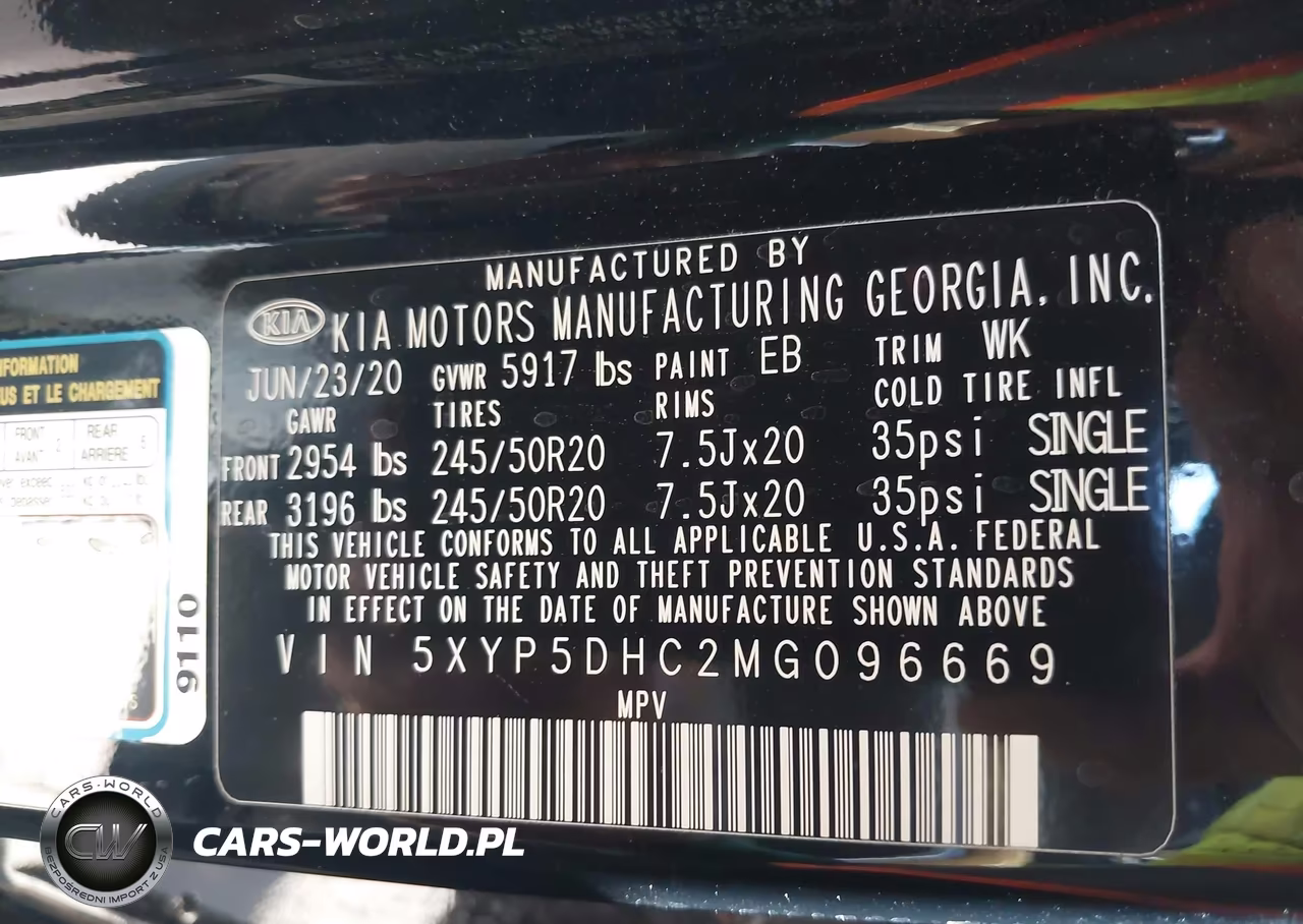 2021 Kia Telluride Sx VIN:5XYP5DHC2MG096669 - 9
