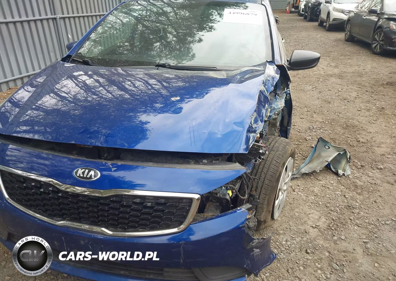 2018 Kia Forte Lx VIN:3KPFK4A78JE220213 - 16
