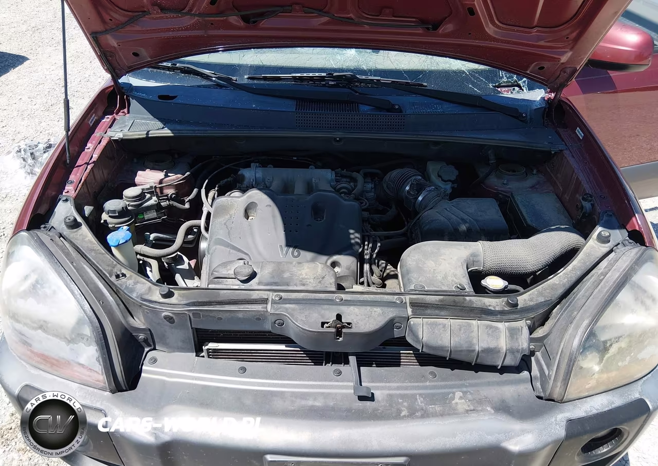 2009 Hyundai Tucson Se VIN:KM8JN72D39U944634 - 10