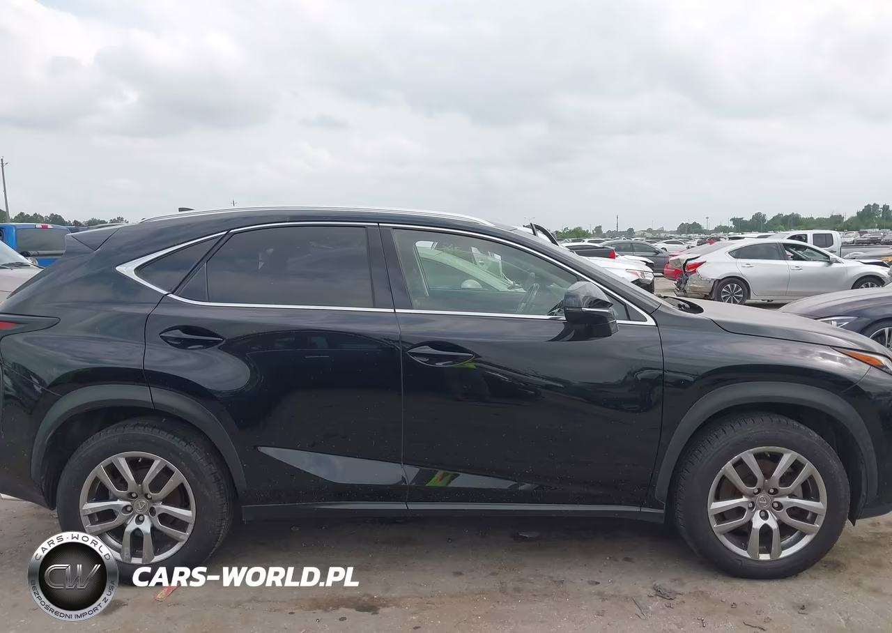 2015 Lexus Nx 200T VIN:JTJYARBZ9F2001691 - 13