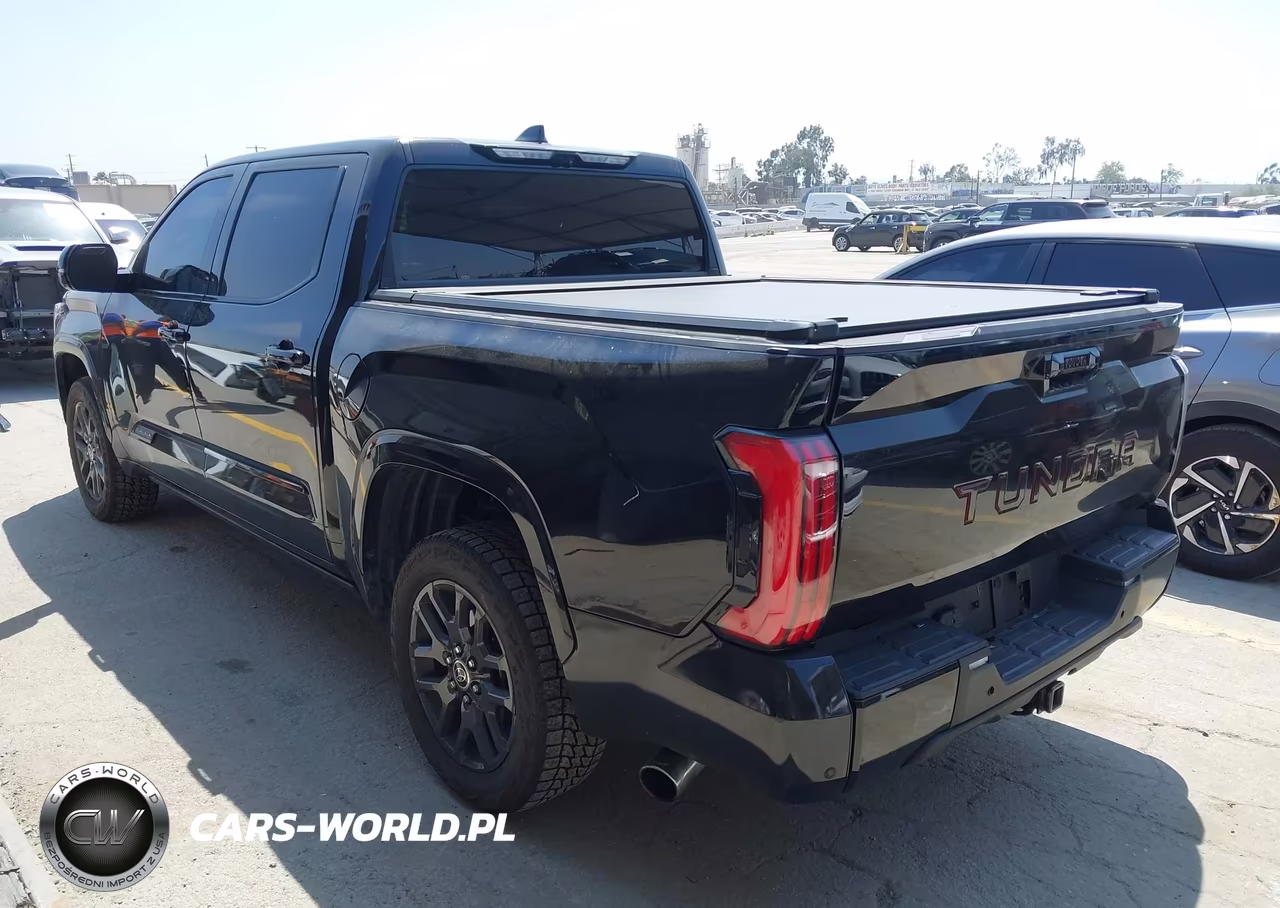 2023 Toyota Tundra Hybrid Platinum VIN:5TFNC5DB9PX039211 - 3