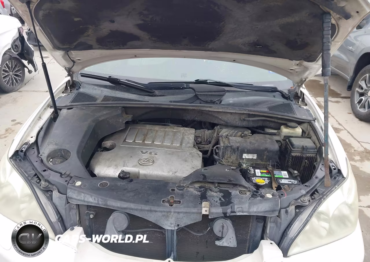 2007 Lexus Rx 350 VIN:2T2GK31U17C011712 - 10