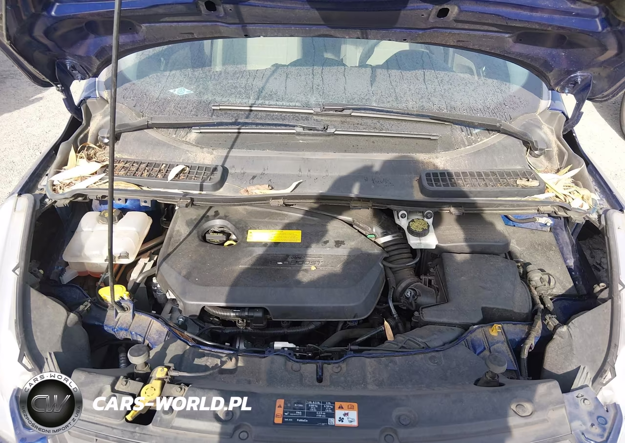 2015 Ford Escape Se VIN:1FMCU9GX5FUB85202 - 10