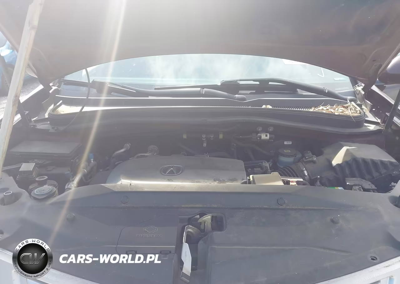 2011 Acura Mdx Advance VIN:2HNYD2H54BH538194 - 10
