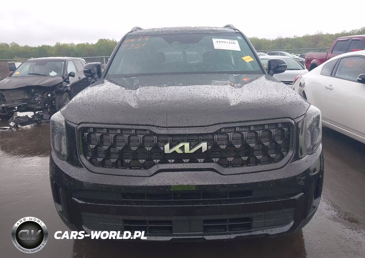 2024 Kia Telluride Ex X-Line VIN:5XYP3DGC3RG551690 - 12