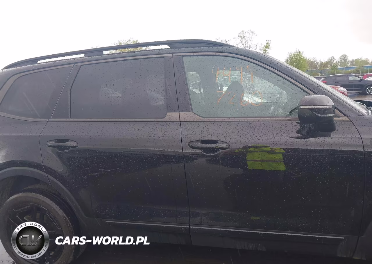 2024 Kia Telluride Ex X-Line VIN:5XYP3DGC3RG551690 - 13
