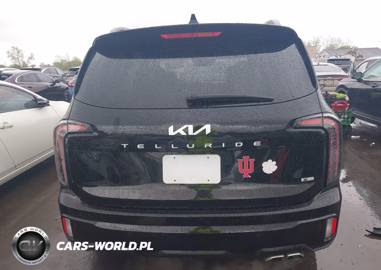 2024 Kia Telluride Ex X-Line VIN:5XYP3DGC3RG551690 - 16