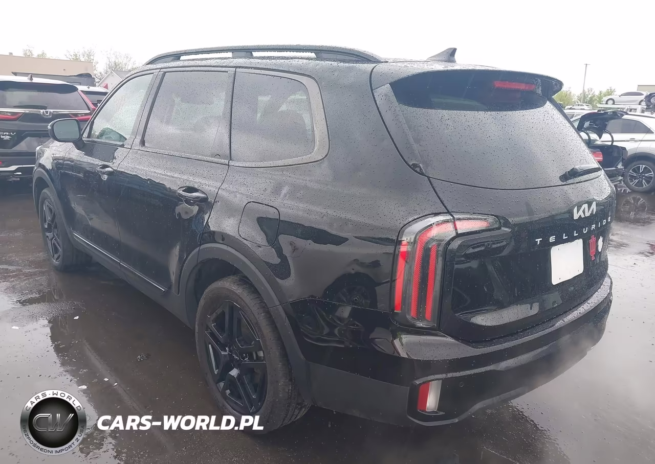 2024 Kia Telluride Ex X-Line VIN:5XYP3DGC3RG551690 - 3
