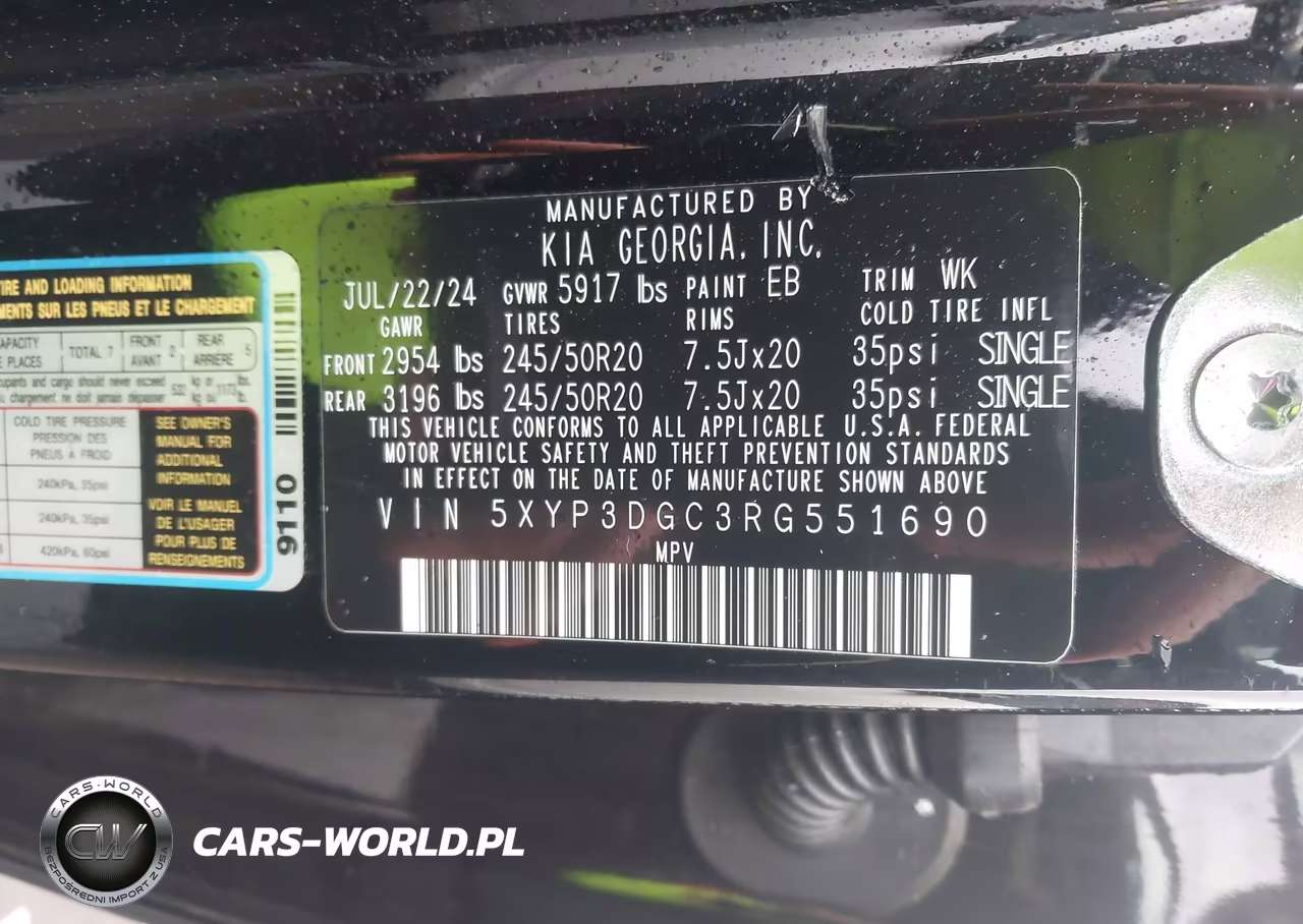 2024 Kia Telluride Ex X-Line VIN:5XYP3DGC3RG551690 - 9
