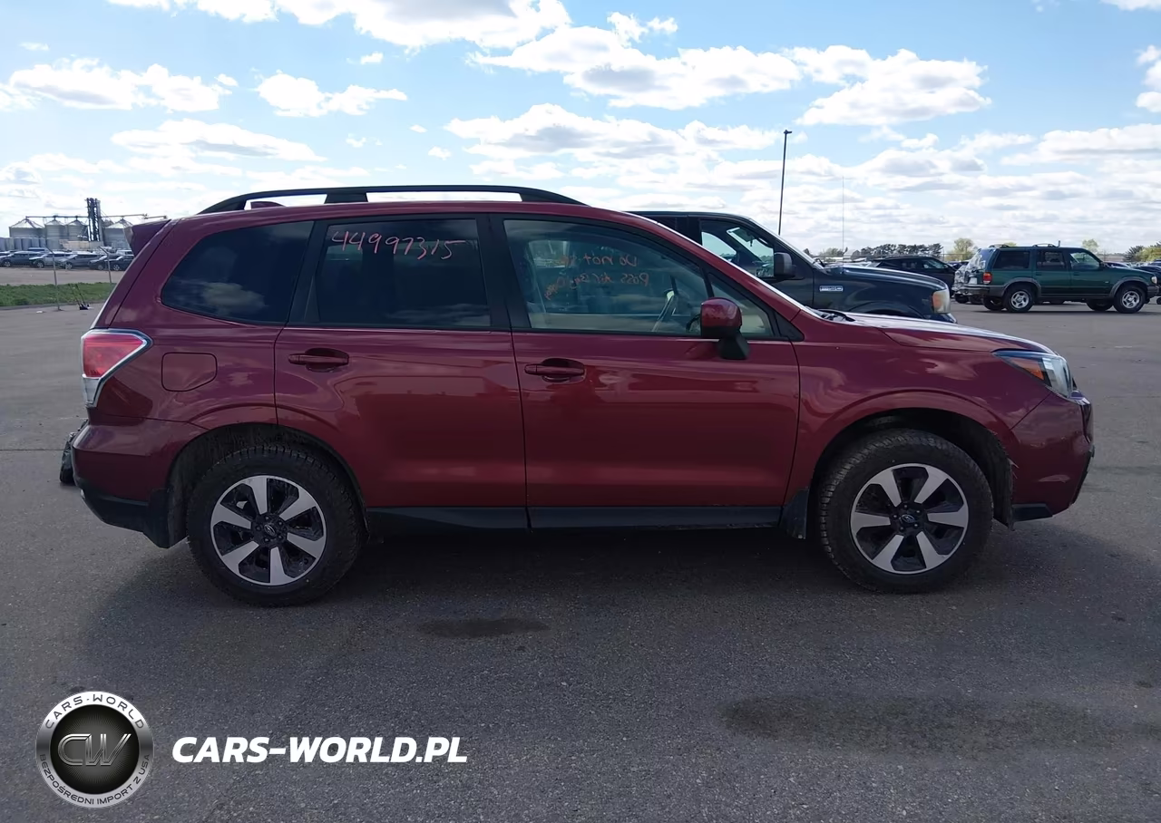 2017 Subaru Forester 2.5I Premium VIN:JF2SJAEC1HG470640 - 13