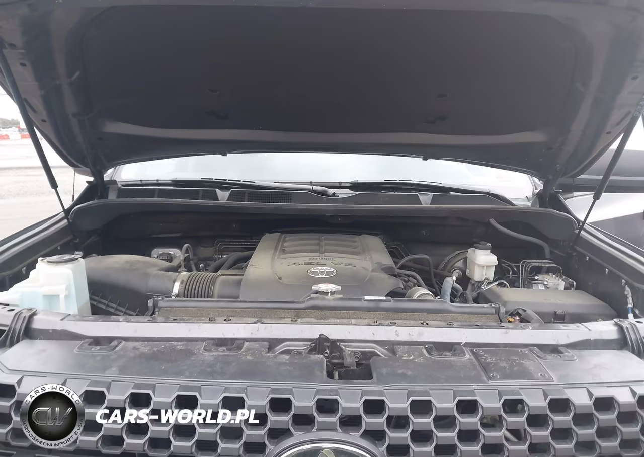 2019 Toyota Tundra Sr5 4.6L V8 VIN:5TFUM5F13KX080391 - 10