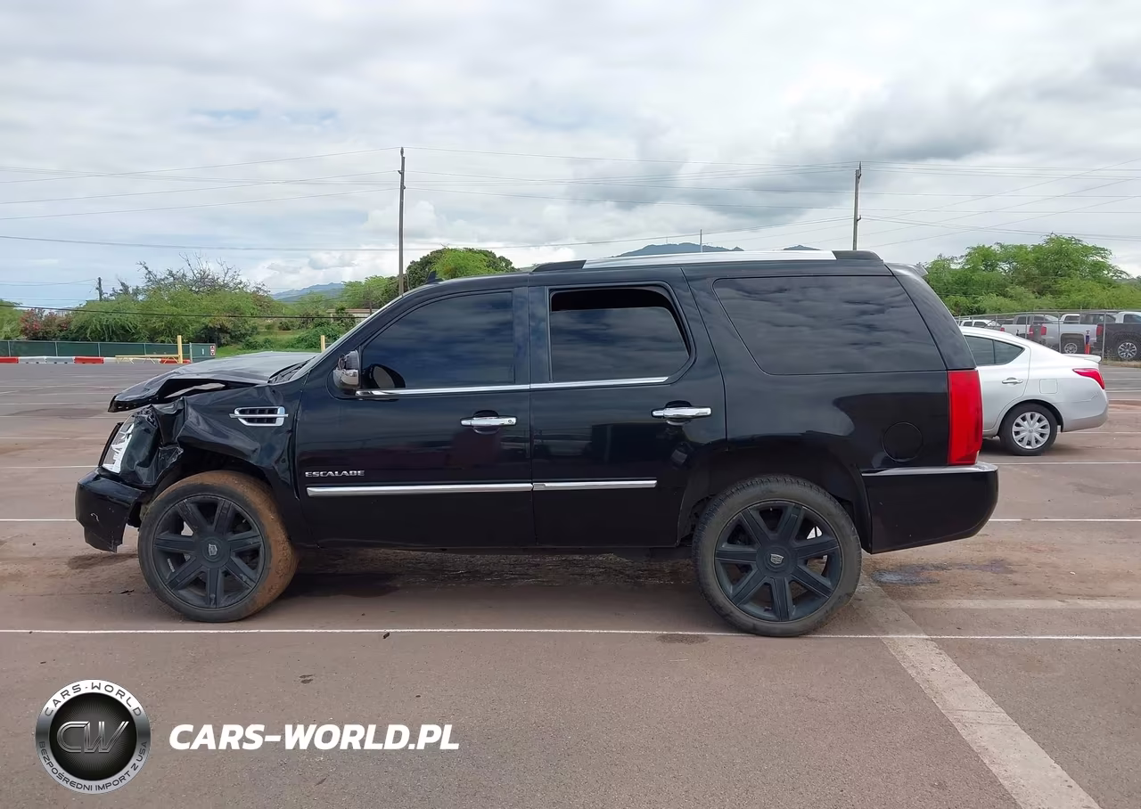 2011 Cadillac Escalade Standard VIN:1GYS3AEF6BR134801 - 14