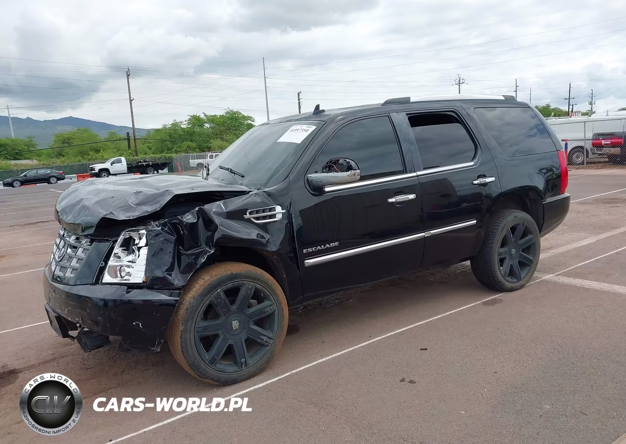 2011 Cadillac Escalade Standard VIN:1GYS3AEF6BR134801 - 2