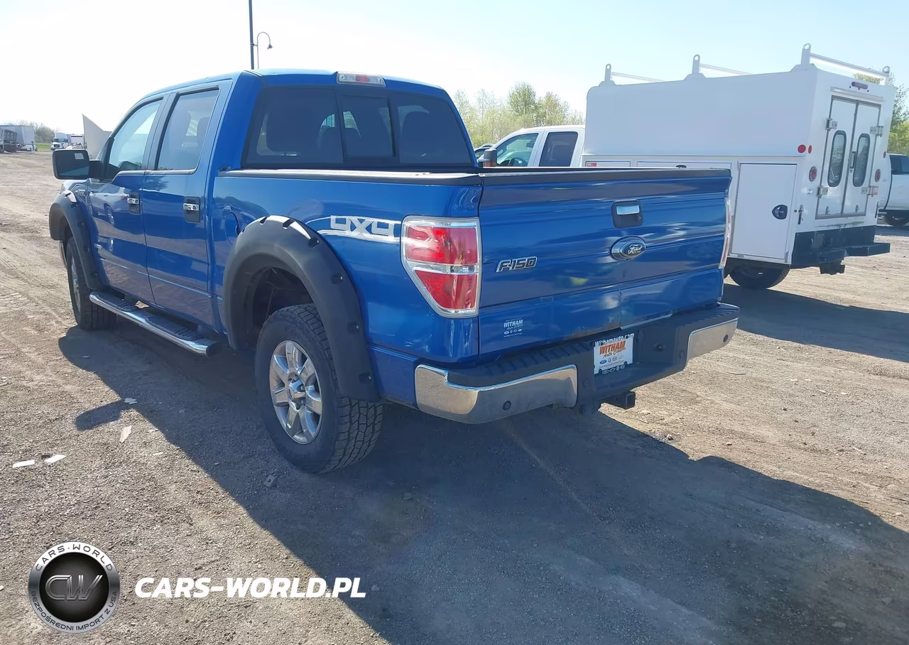 2013 Ford F-150 Xlt VIN:1FTFW1ET9DKD46043 - 3