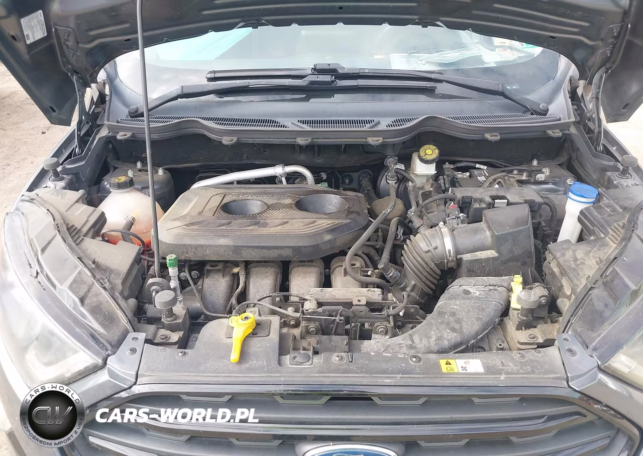 2020 Ford Ecosport Ses VIN:MAJ6S3JL5LC327789 - 10