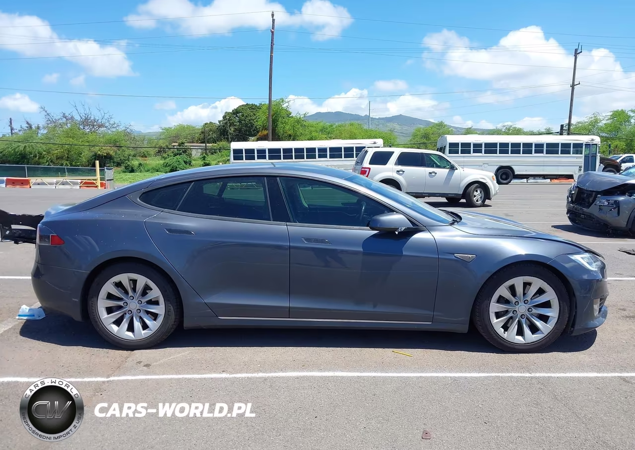 2016 Tesla Model S 60D-70D-75D-85D-90D VIN:5YJSA1E23GF150895 - 14