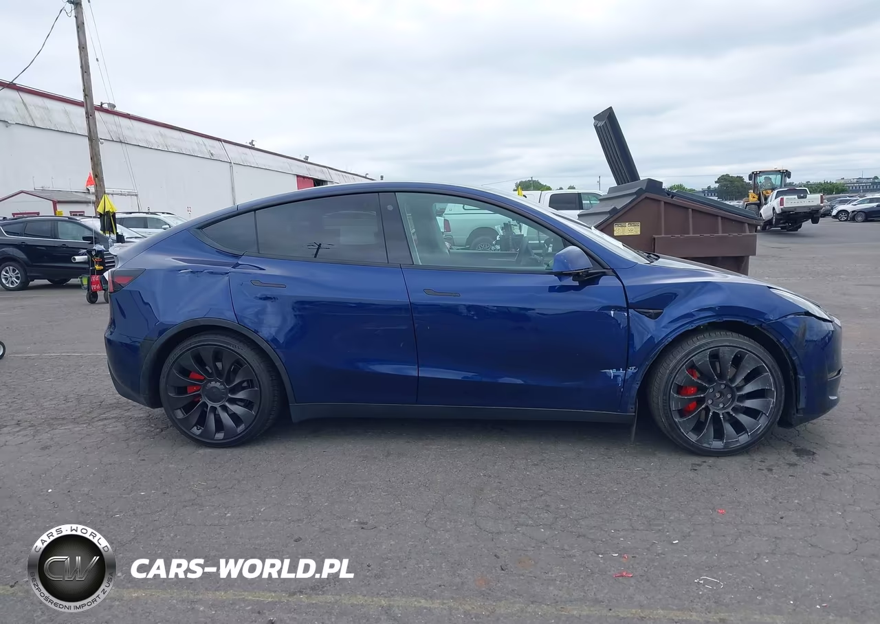 2023 Tesla Model Y Performance Dual Motor All-Wheel Drive VIN:7SAYGDEF9PF664833 - 13