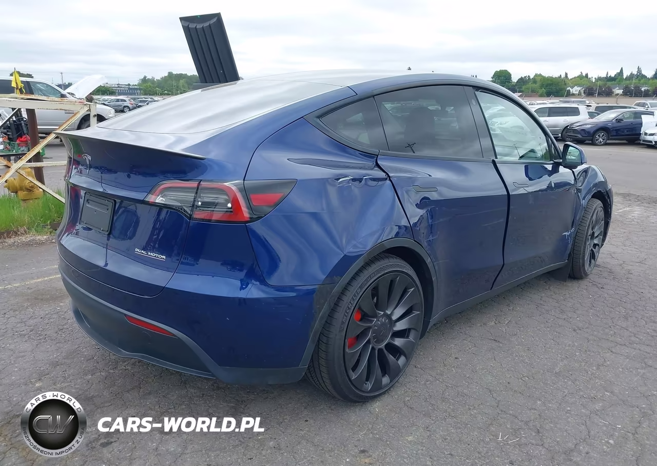 2023 Tesla Model Y Performance Dual Motor All-Wheel Drive VIN:7SAYGDEF9PF664833 - 4