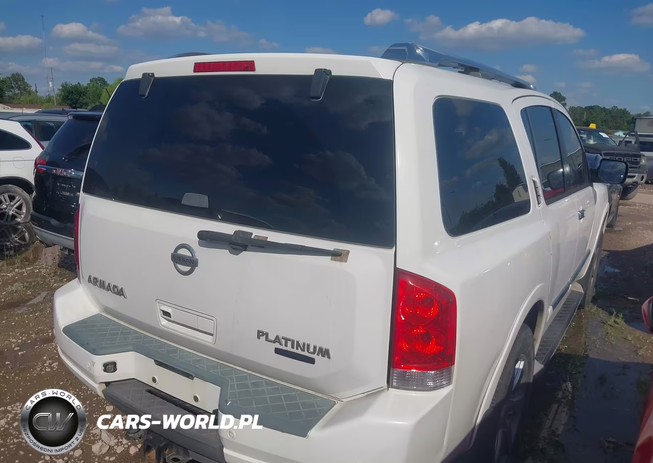 2010 Nissan Armada Platinum VIN:5N1BA0NF2AN616544 - 4