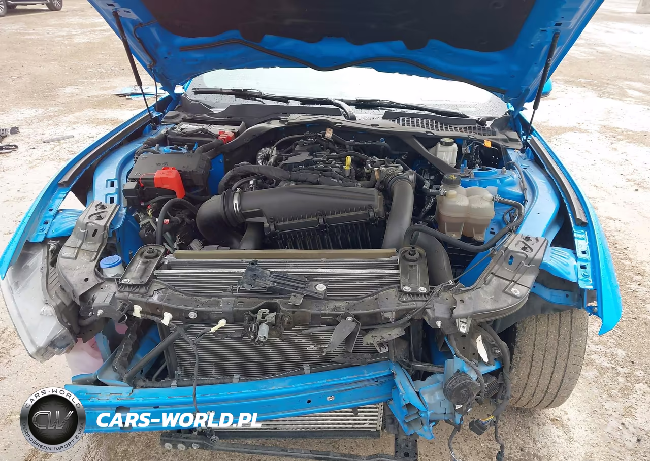 2024 Ford Mustang Ecoboost Premium VIN:1FAGP8UH6R5127480 - 10