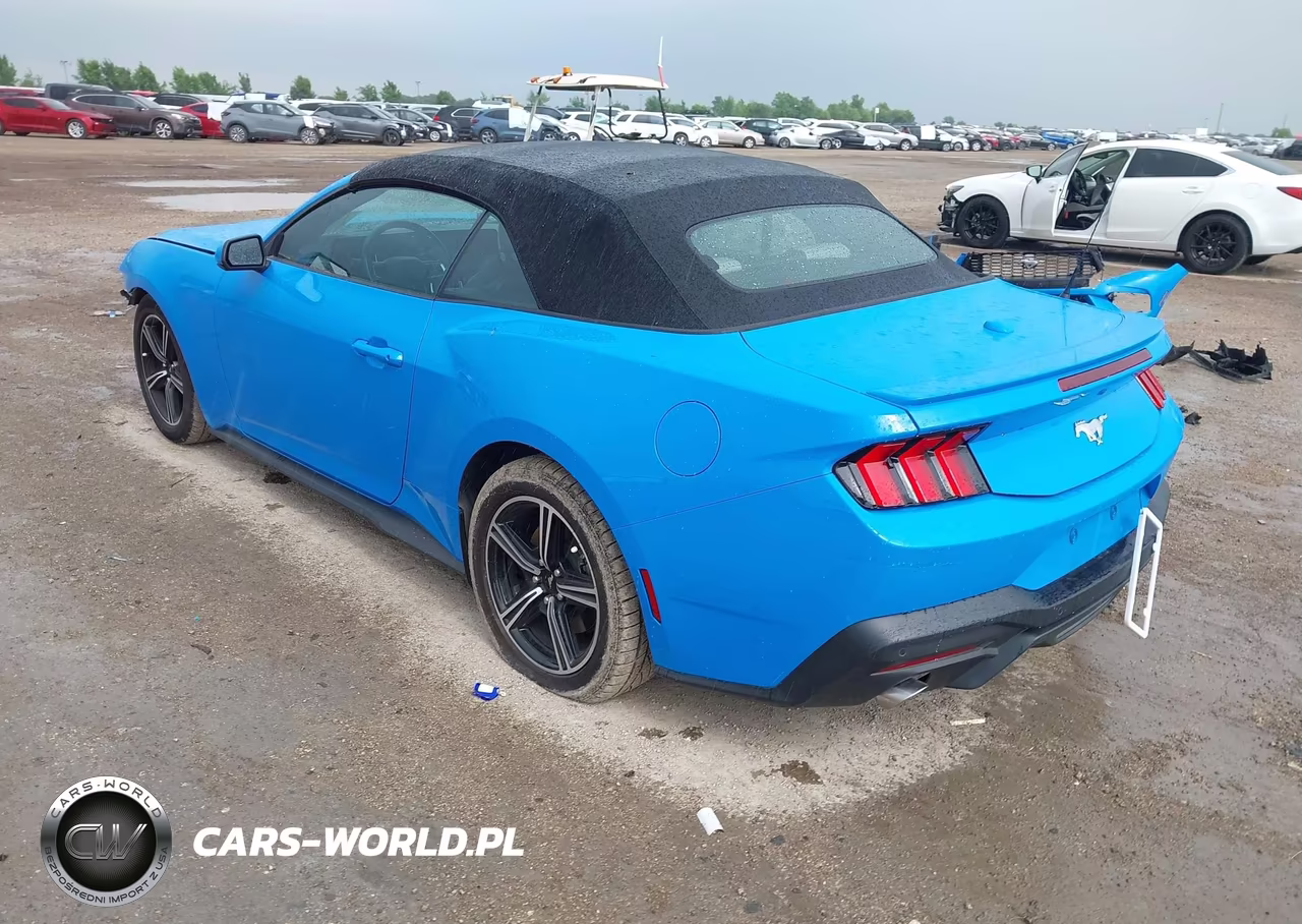 2024 Ford Mustang Ecoboost Premium VIN:1FAGP8UH6R5127480 - 3
