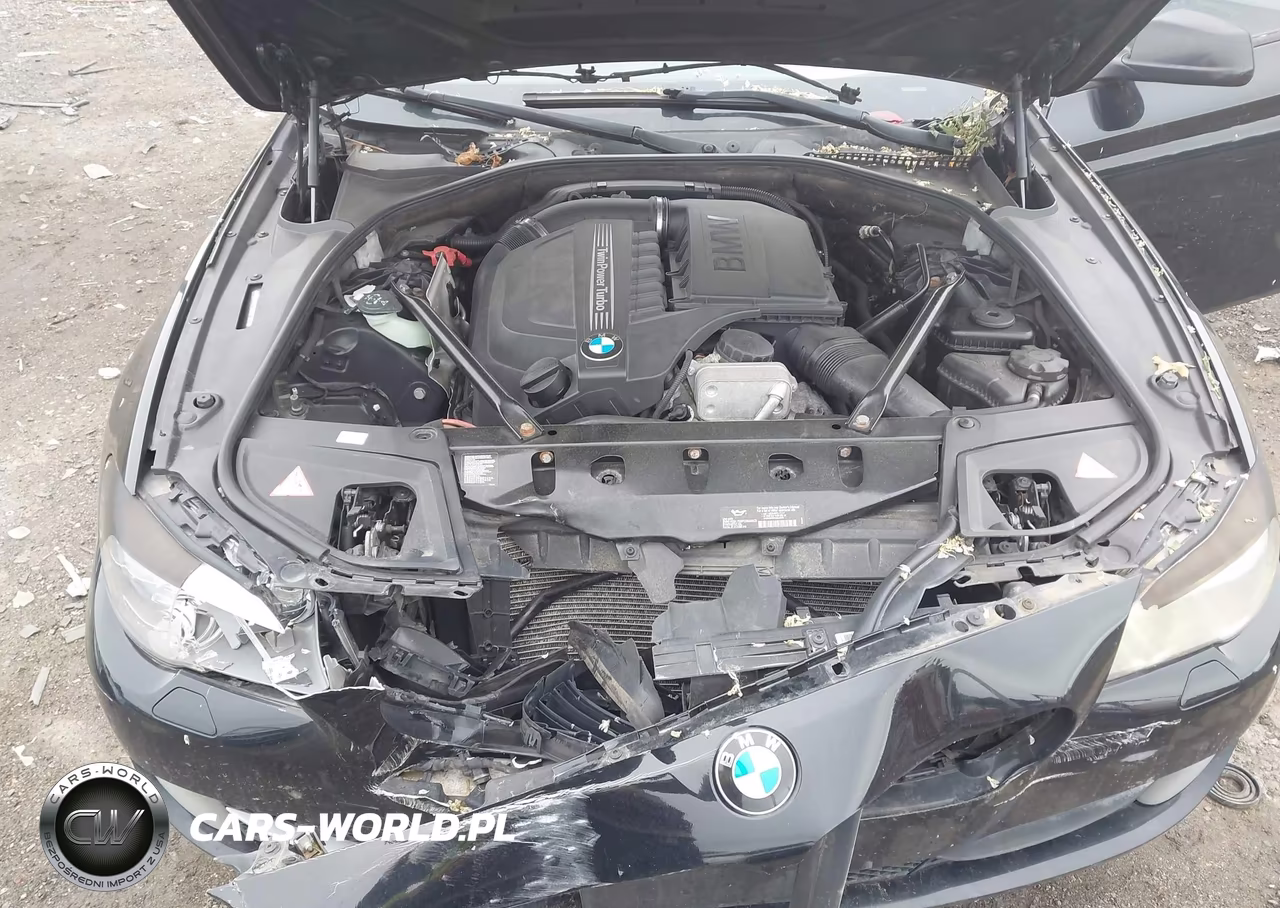 2013 BMW 535I xDrive VIN:WBAFU7C50DDU75691 - 10