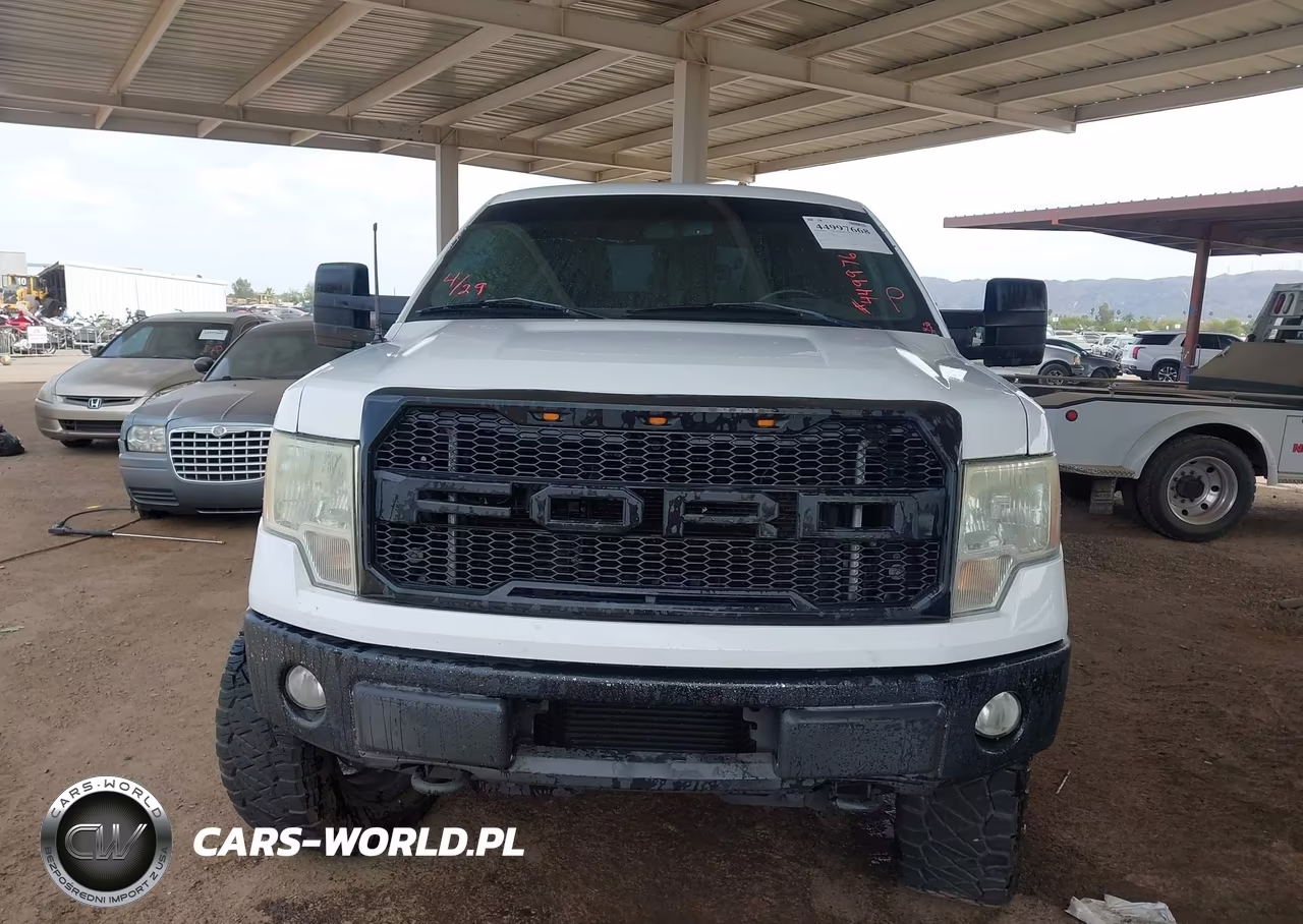 2013 Ford F-150 Xlt VIN:1FTFX1ET2DFC88749 - 11