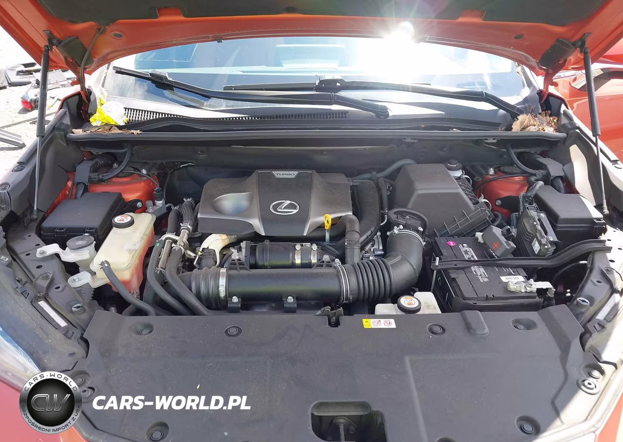 2020 Lexus Nx 300 VIN:JTJDARDZ7L2219426 - 10