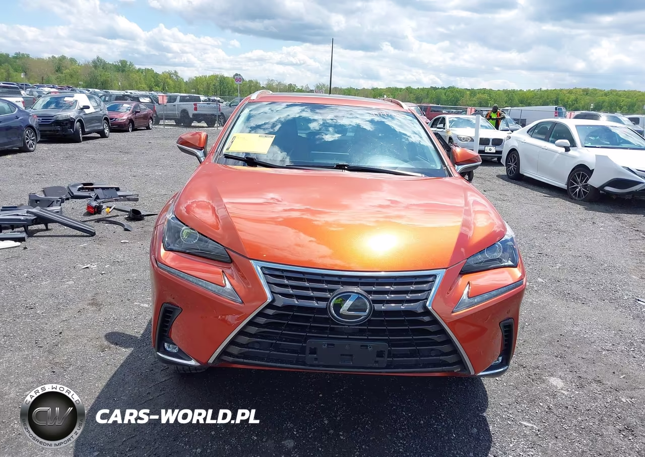 2020 Lexus Nx 300 VIN:JTJDARDZ7L2219426 - 13