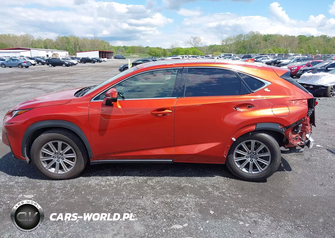 2020 Lexus Nx 300 VIN:JTJDARDZ7L2219426 - 15