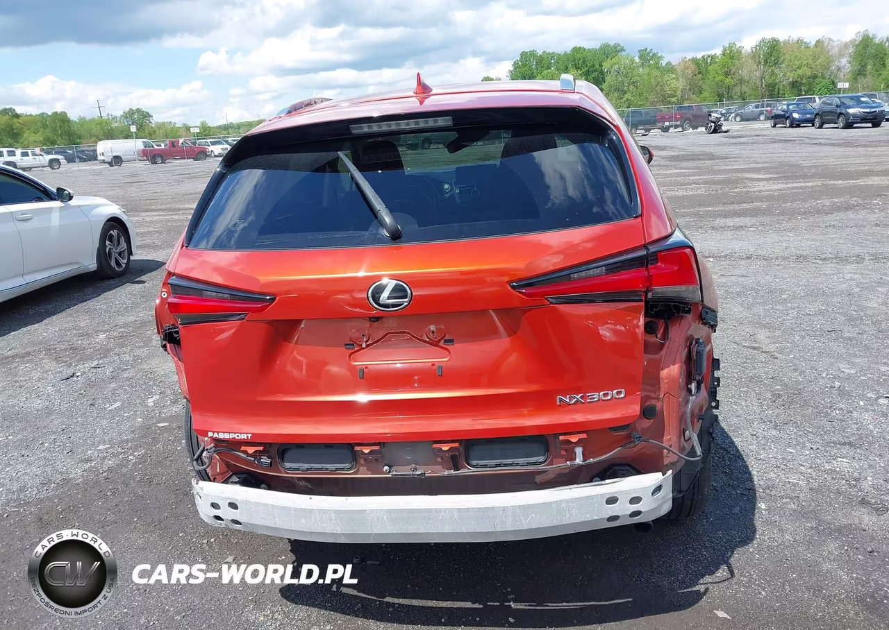 2020 Lexus Nx 300 VIN:JTJDARDZ7L2219426 - 17