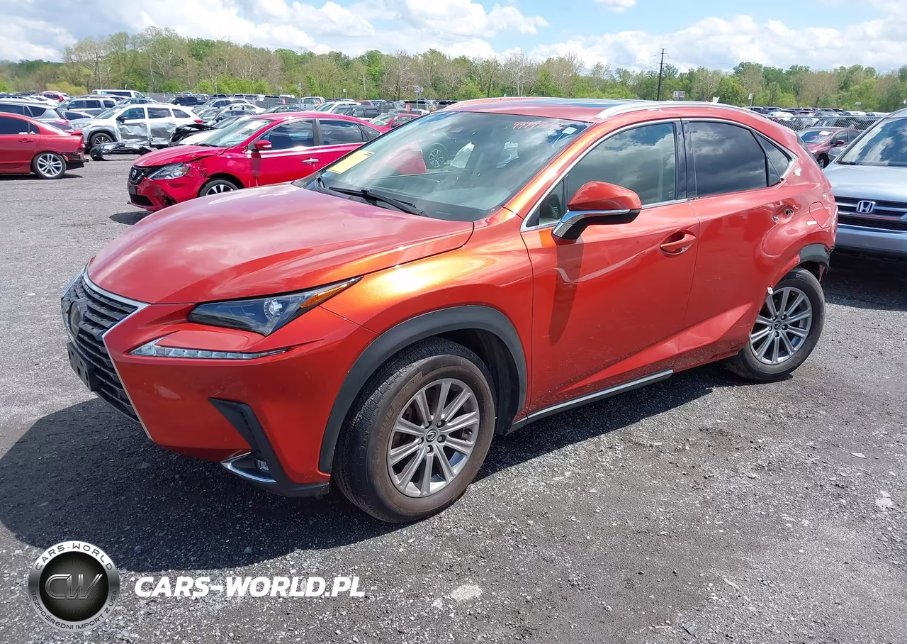 2020 Lexus Nx 300 VIN:JTJDARDZ7L2219426 - 2