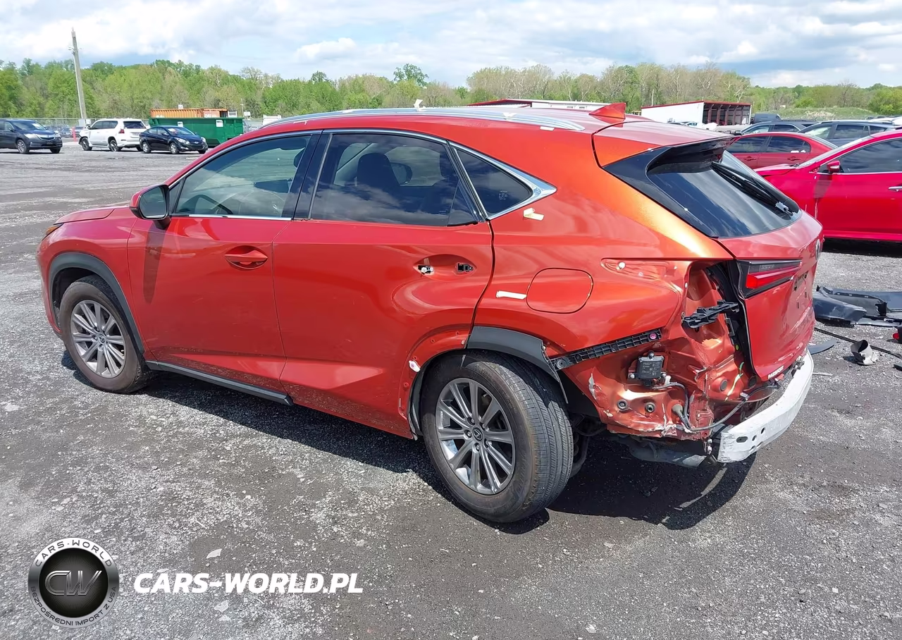 2020 Lexus Nx 300 VIN:JTJDARDZ7L2219426 - 3