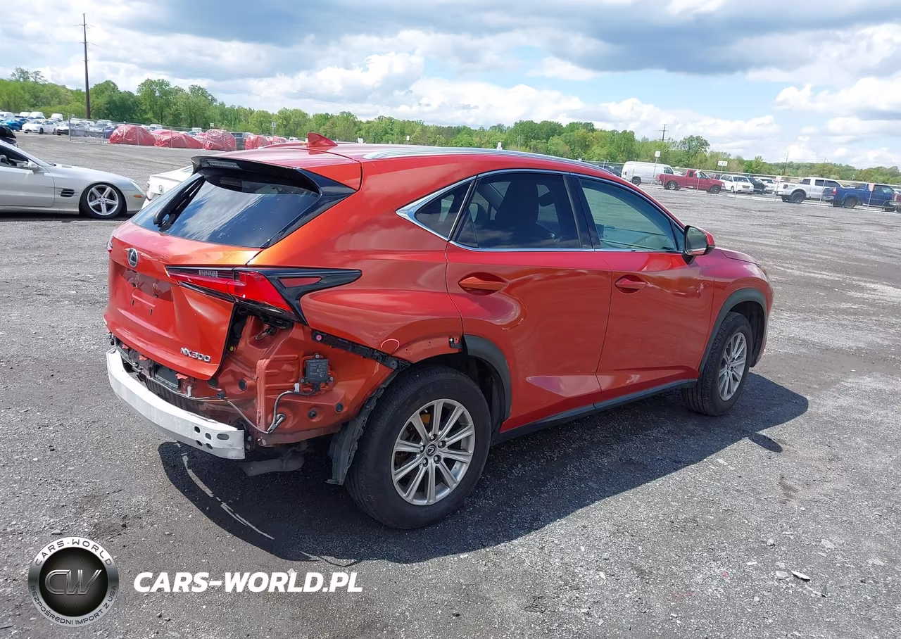 2020 Lexus Nx 300 VIN:JTJDARDZ7L2219426 - 4