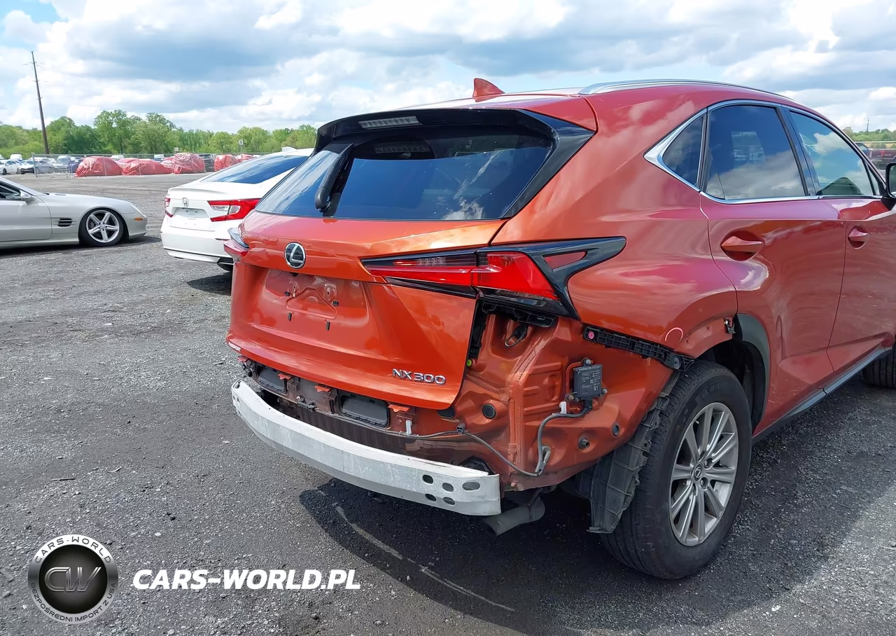 2020 Lexus Nx 300 VIN:JTJDARDZ7L2219426 - 6