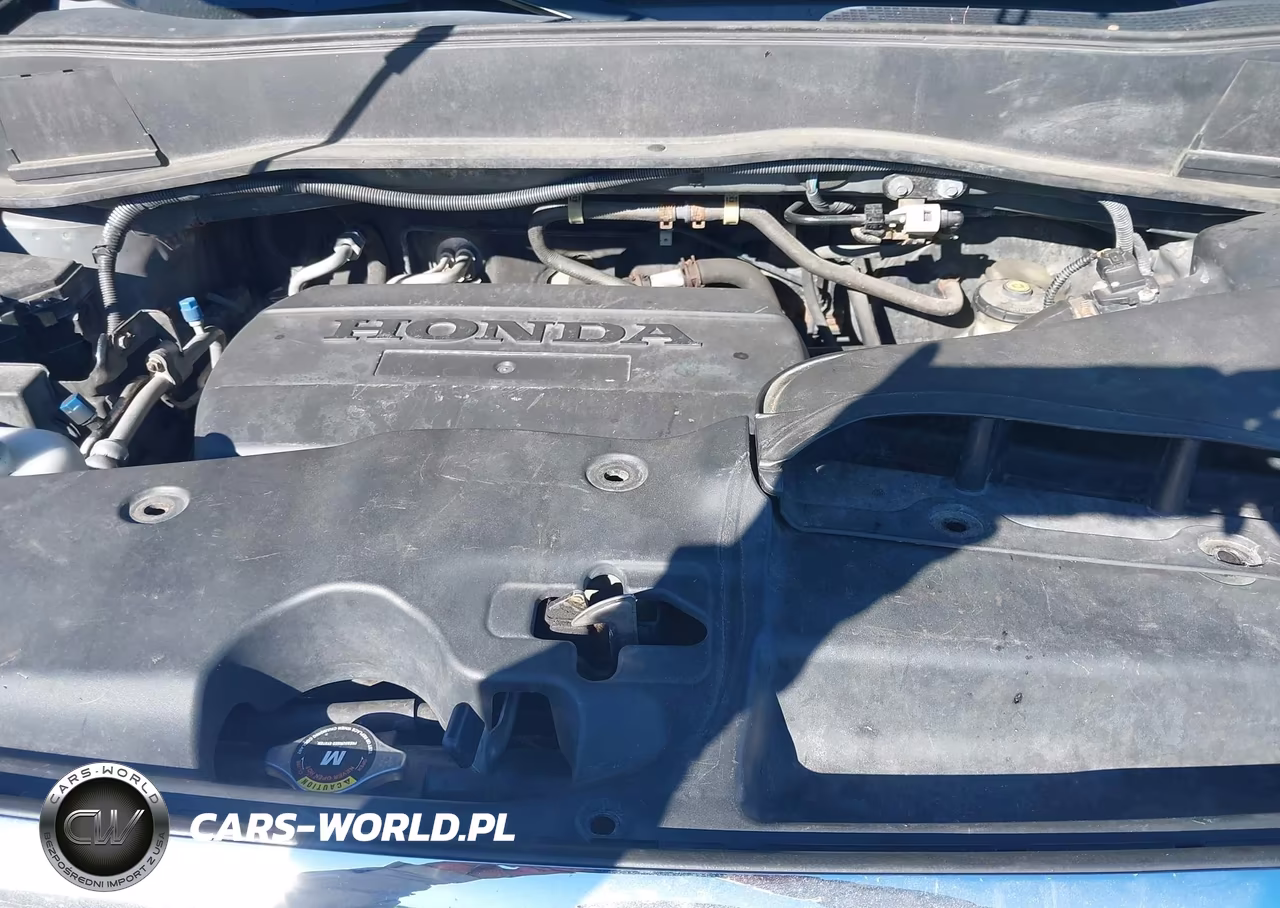 2009 Honda Pilot Lx VIN:5FNYF48299B023256 - 10