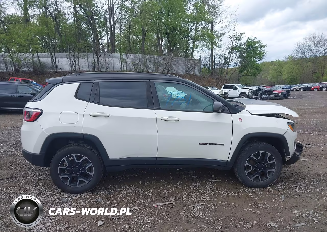2019 Jeep Compass Trailhawk 4X4 VIN:3C4NJDDB1KT618844 - 13