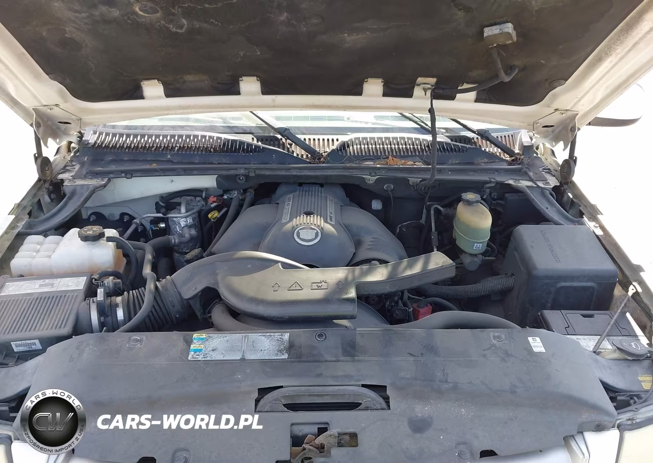 2002 Cadillac Escalade Standard VIN:1GYEK63N62R224246 - 10