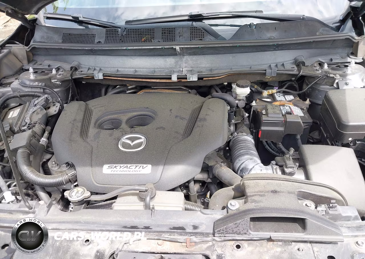 2017 Mazda Cx-9 Grand Touring VIN:JM3TCBDY4H0132830 - 10
