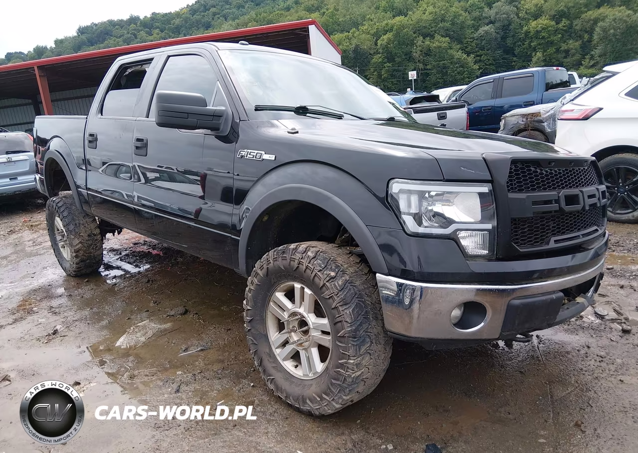 2014 Ford F-150 Xlt – zdjęcie 1 z 22