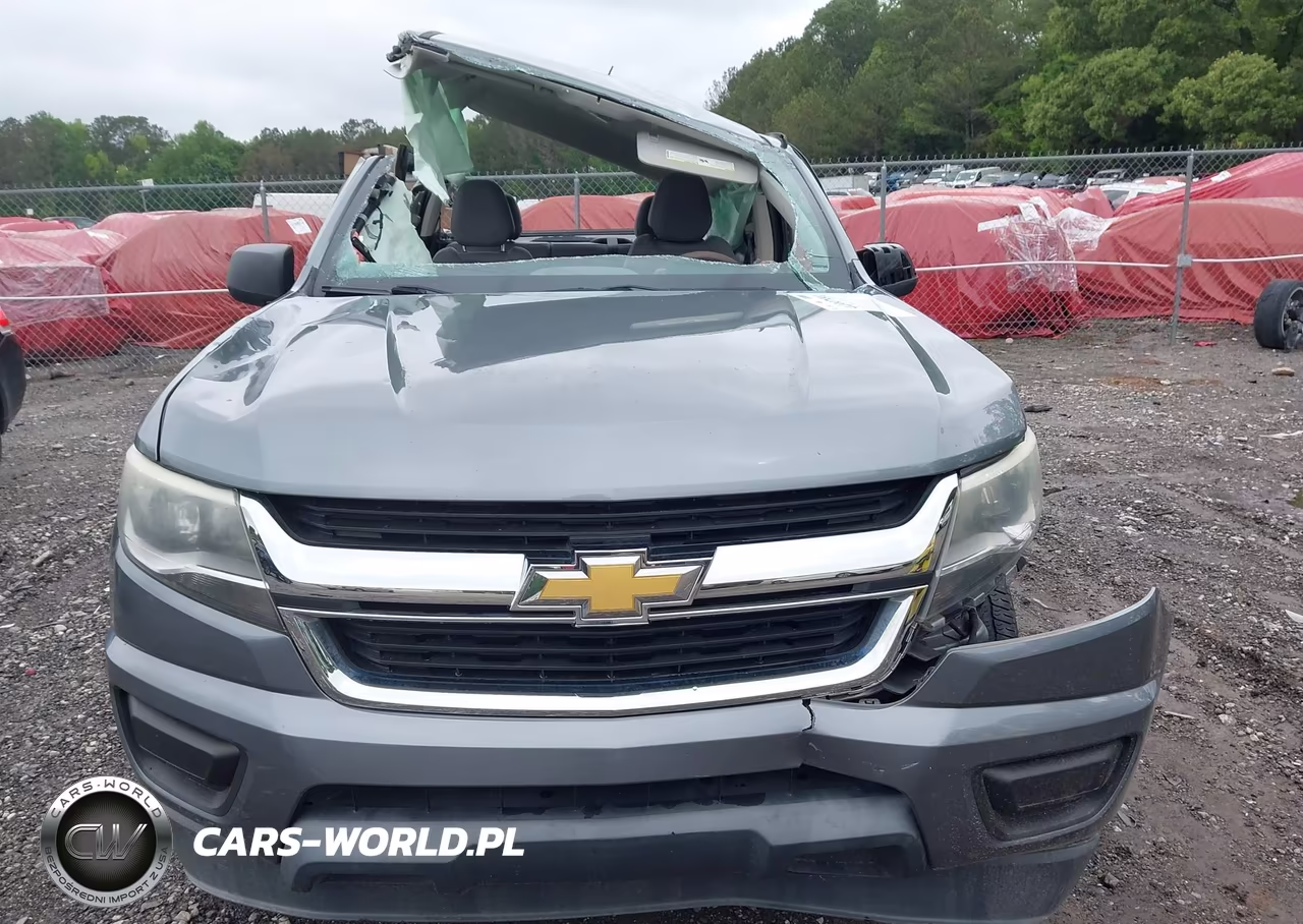 2018 Chevrolet Colorado Wt VIN:1GCGSBEAXJ1284187 - 12