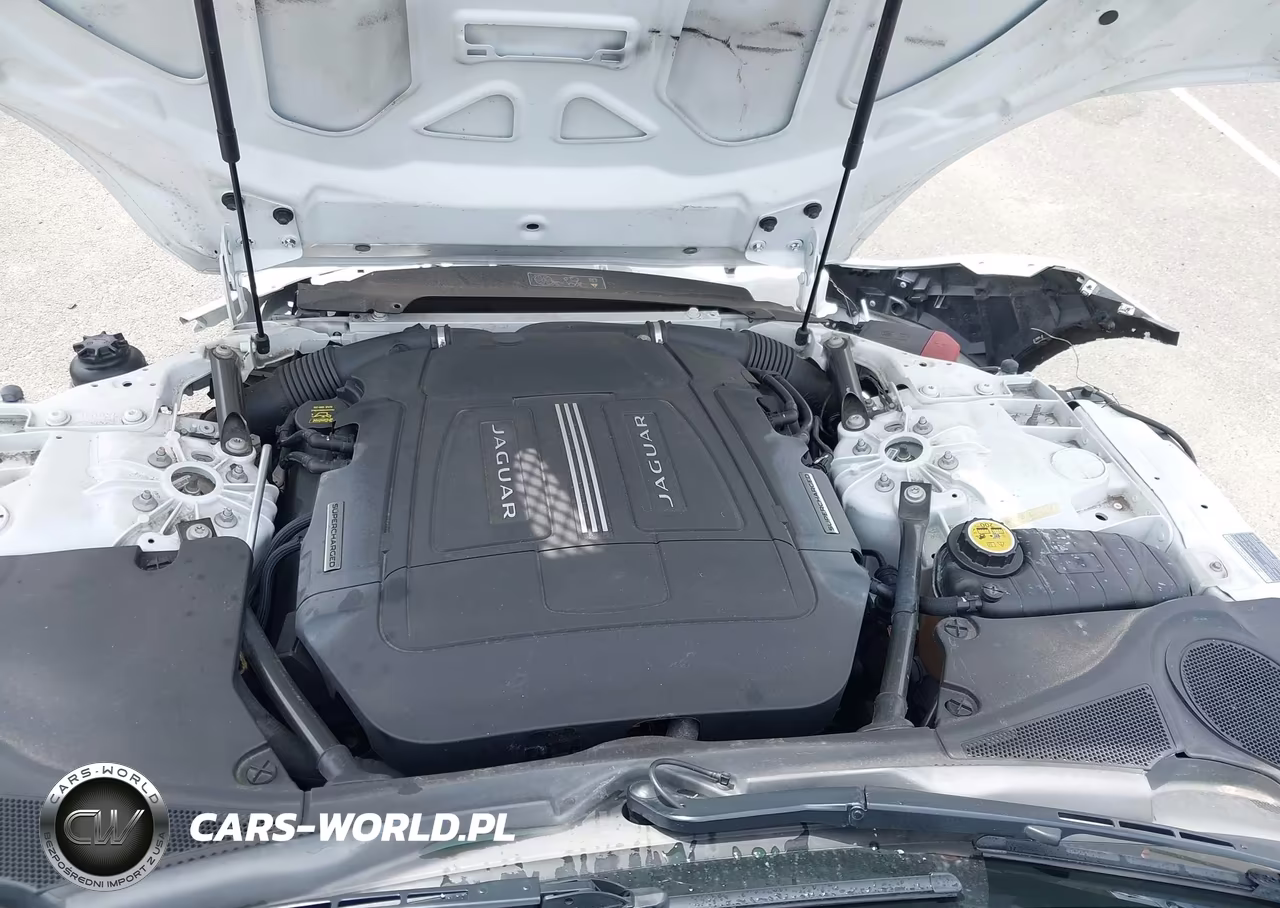 2015 Jaguar F-Type VIN:SAJWA6AT4F8K19817 - 10