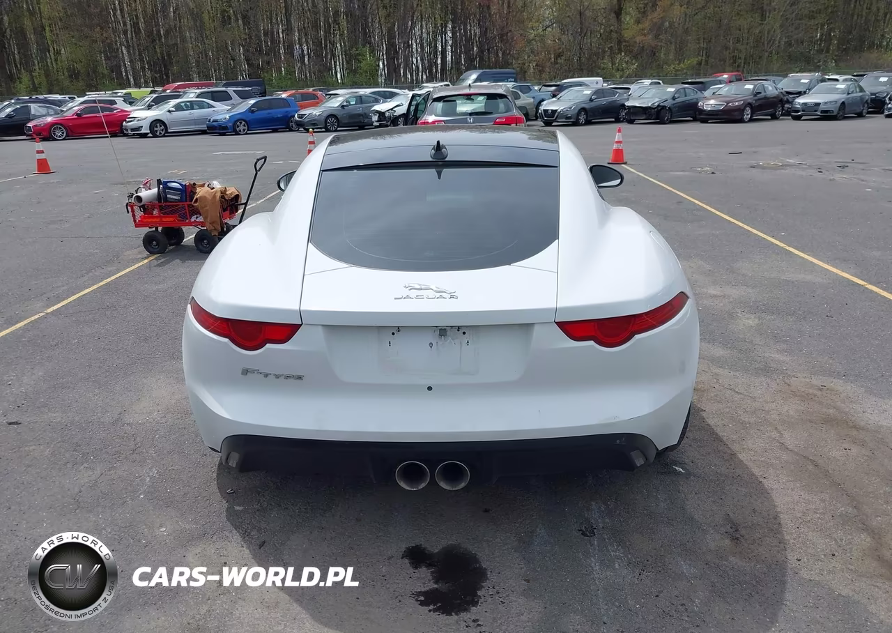 2015 Jaguar F-Type VIN:SAJWA6AT4F8K19817 - 17