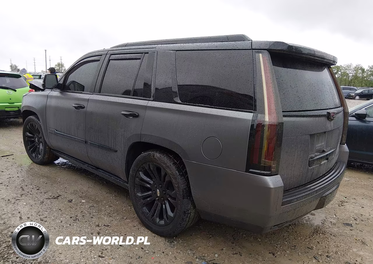 2016 Cadillac Escalade Platinum VIN:1GYS4DKJ9GR275828 - 3