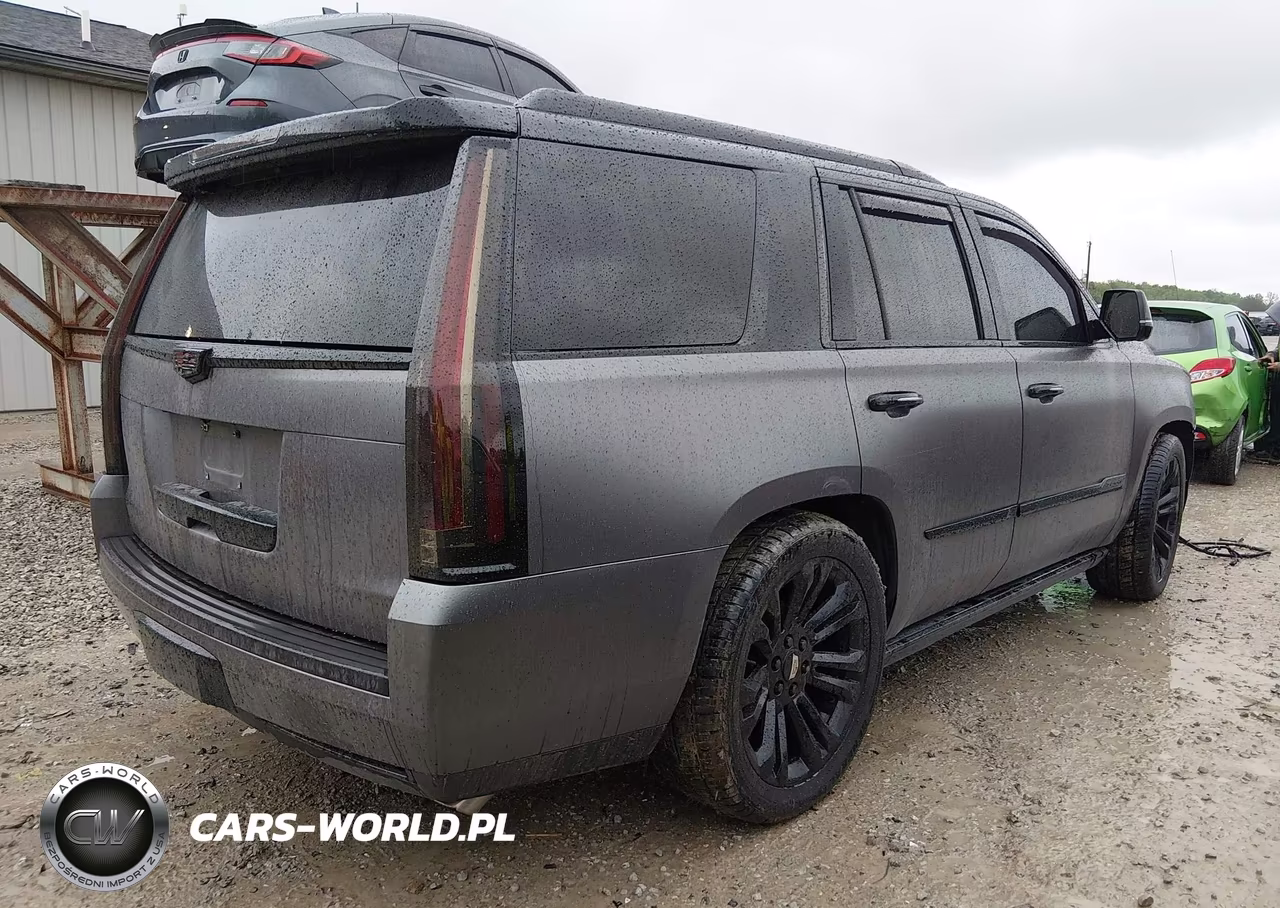 2016 Cadillac Escalade Platinum VIN:1GYS4DKJ9GR275828 - 4