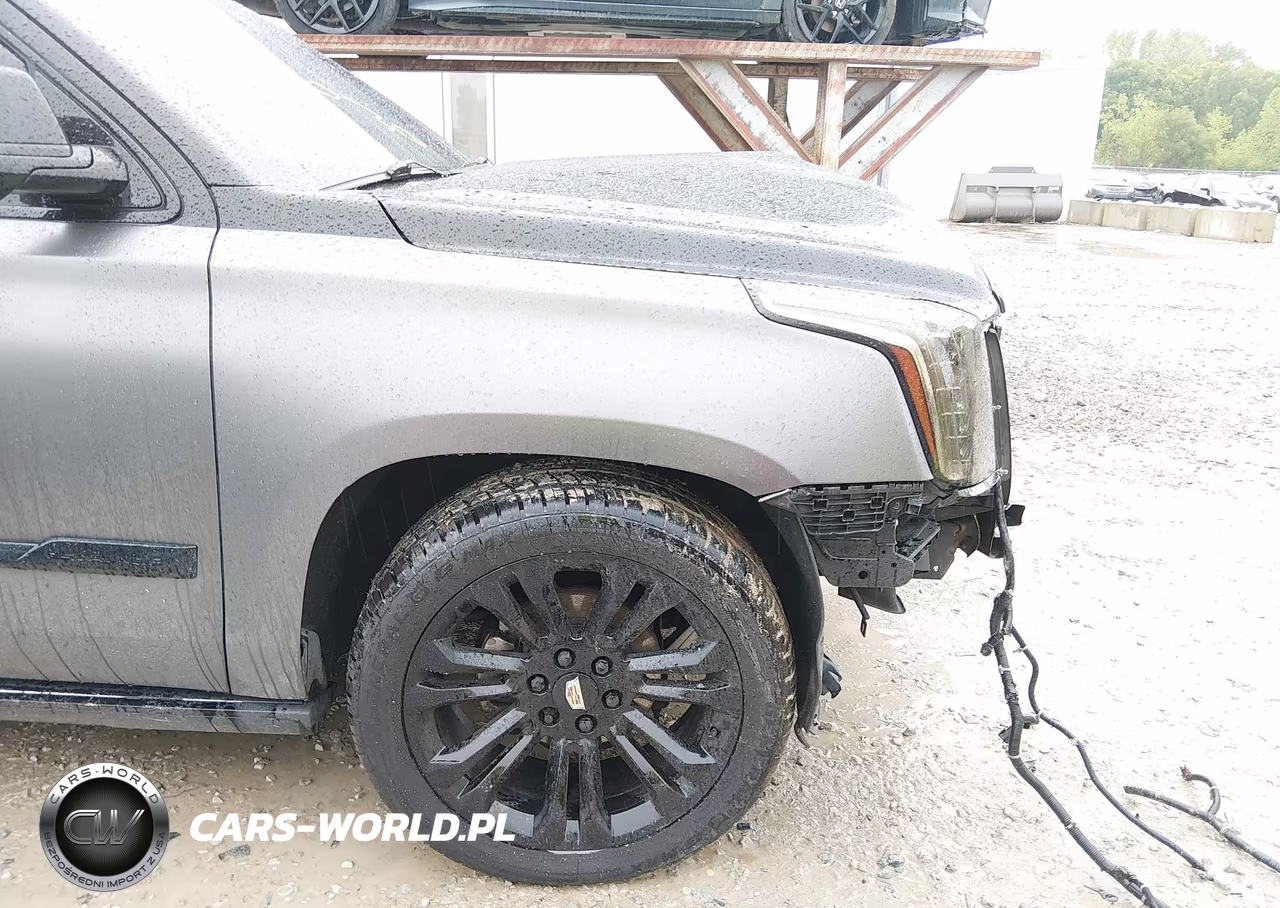 2016 Cadillac Escalade Platinum VIN:1GYS4DKJ9GR275828 - 6
