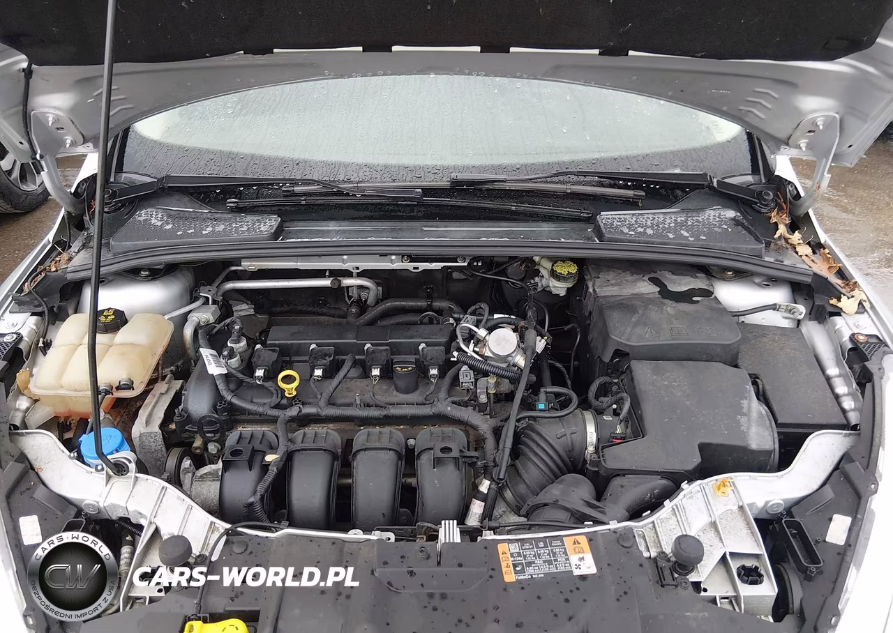 2016 Ford Focus Se VIN:1FADP3F20GL404096 - 10