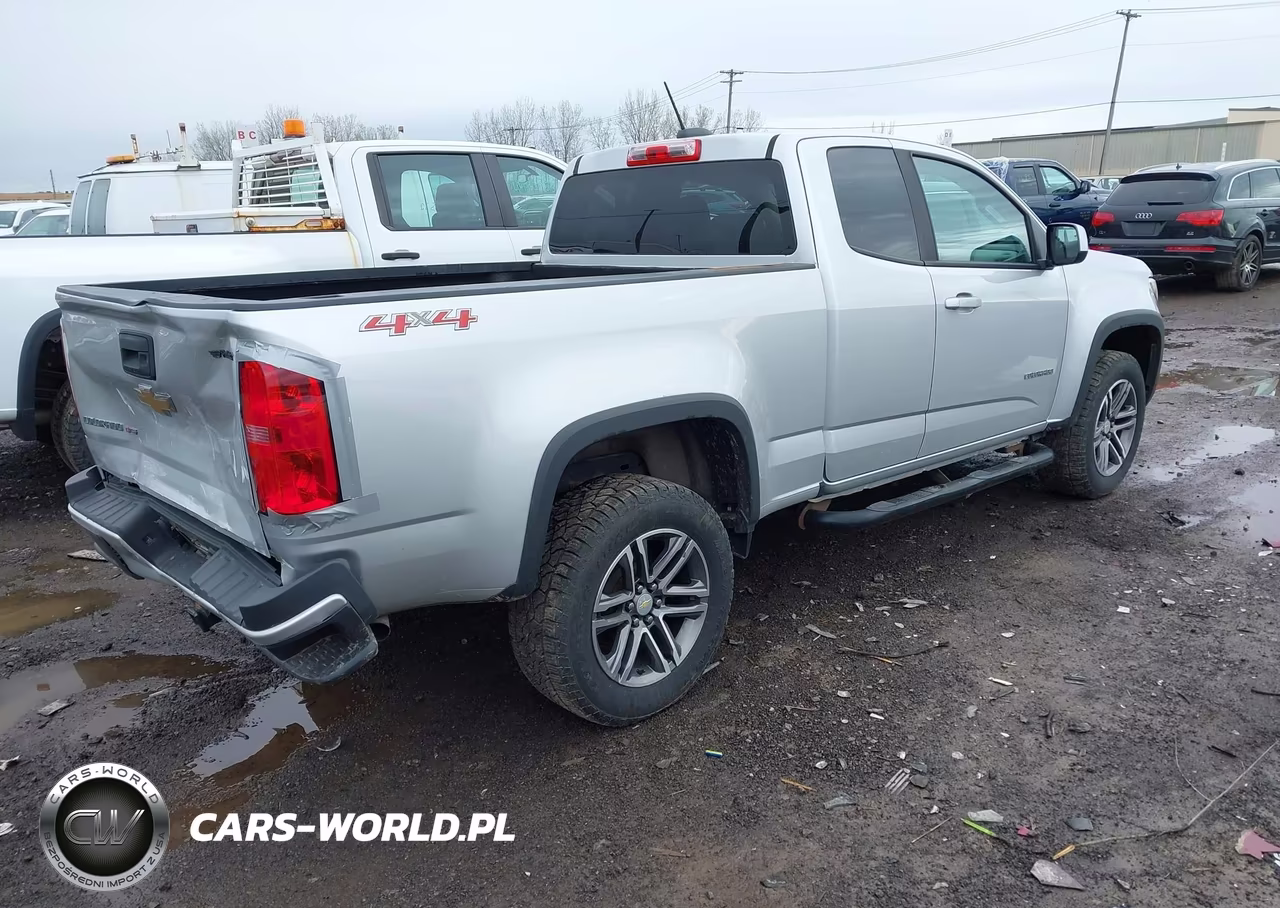 2020 Chevrolet Colorado 4Wd Long Box Wt VIN:1GCHTBEN5L1138089 - 4